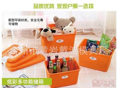 【一諾廠家直銷多彩簡約有蓋塑料糖果色手提收納箱多功能編織整理箱】臺州市黃巖戴波模具廠 - 產品庫