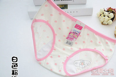 糖果色小雛菊點綴 北極絨經期防漏生理內褲 少女純棉舒適之選